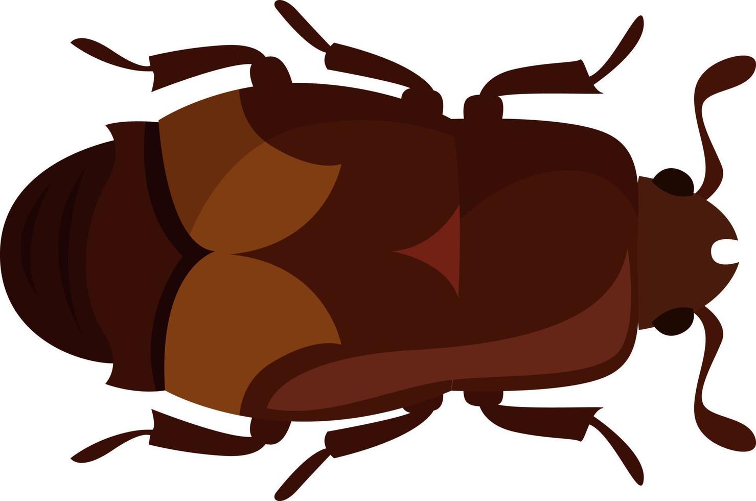 linfa scarafaggio, illustrazione, vettore su bianca sfondo