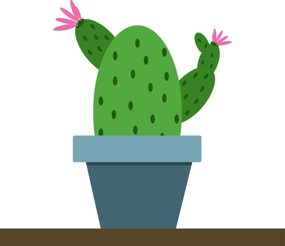 cactus nel pentola, illustrazione, vettore su bianca sfondo.