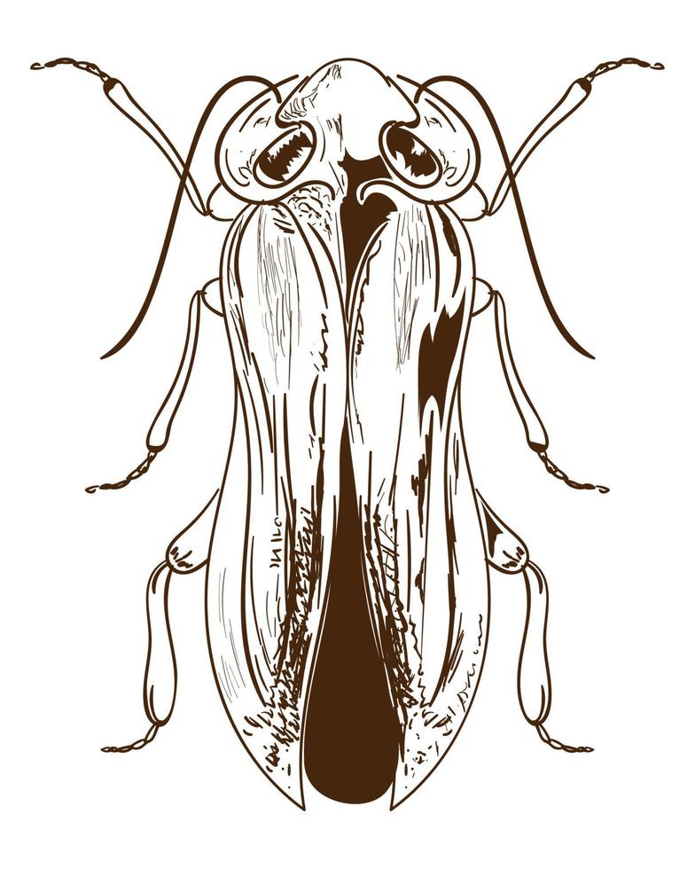 scarafaggio insetto icona vettore