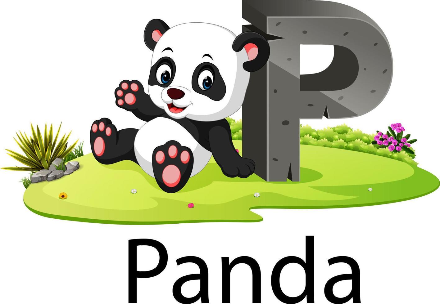 zoo animale alfabeto p per panda con il carino animale vettore