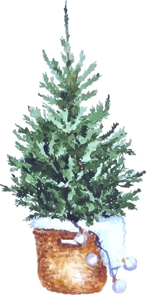 acquerello Natale albero nel il cestino scandinavo stile mano disegnato illustrazione su il trasparente sfondo vettore