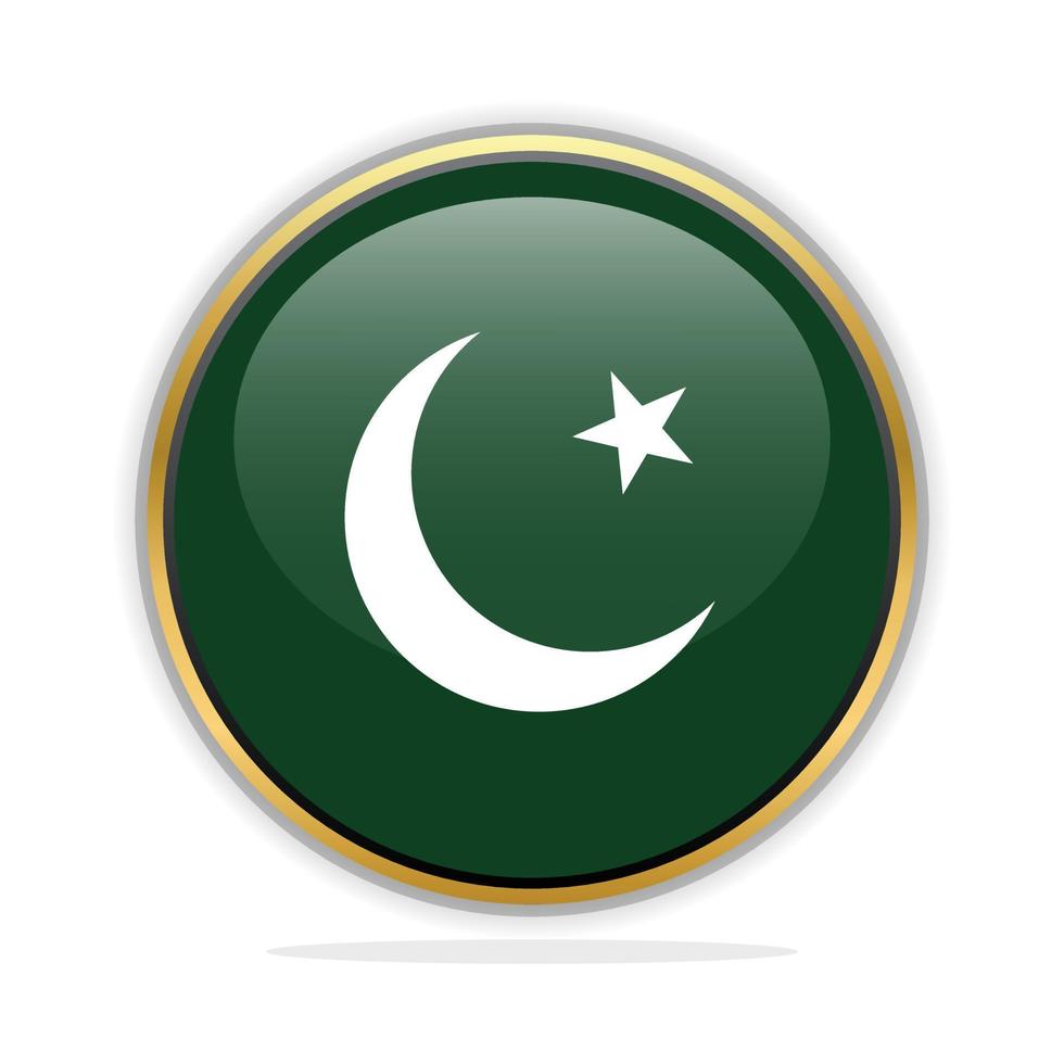 pulsante bandiera design modello Pakistan vettore