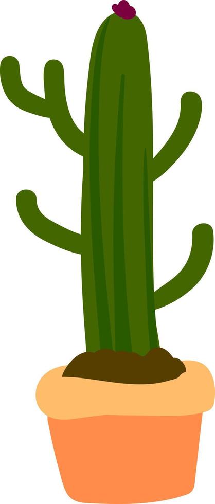 lungo cactus nel pentola, illustrazione, vettore su bianca sfondo.