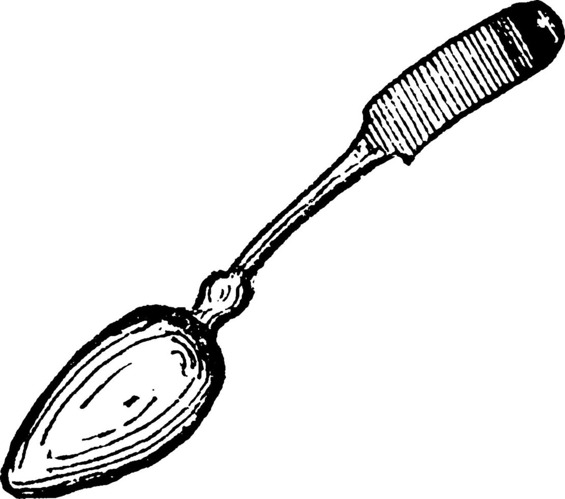 cucchiaino, Vintage ▾ illustrazione. vettore