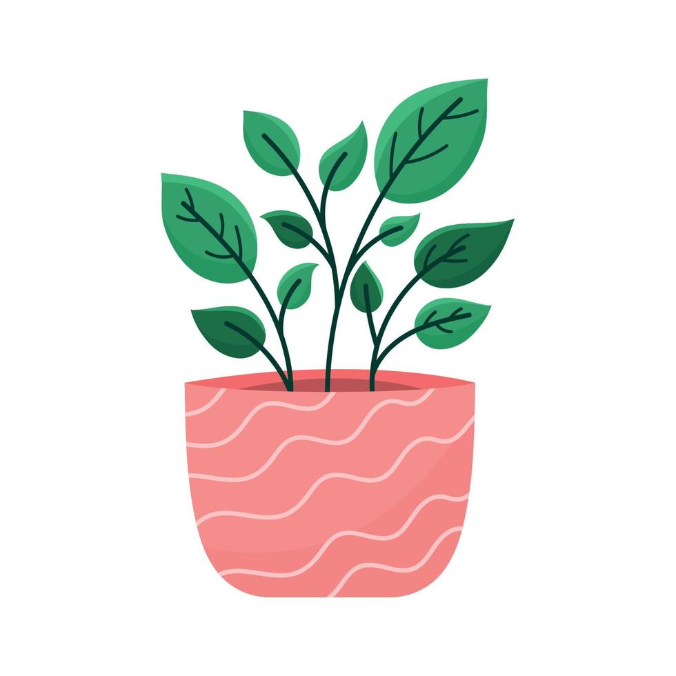 pianta d'appartamento in vaso rosa vettore