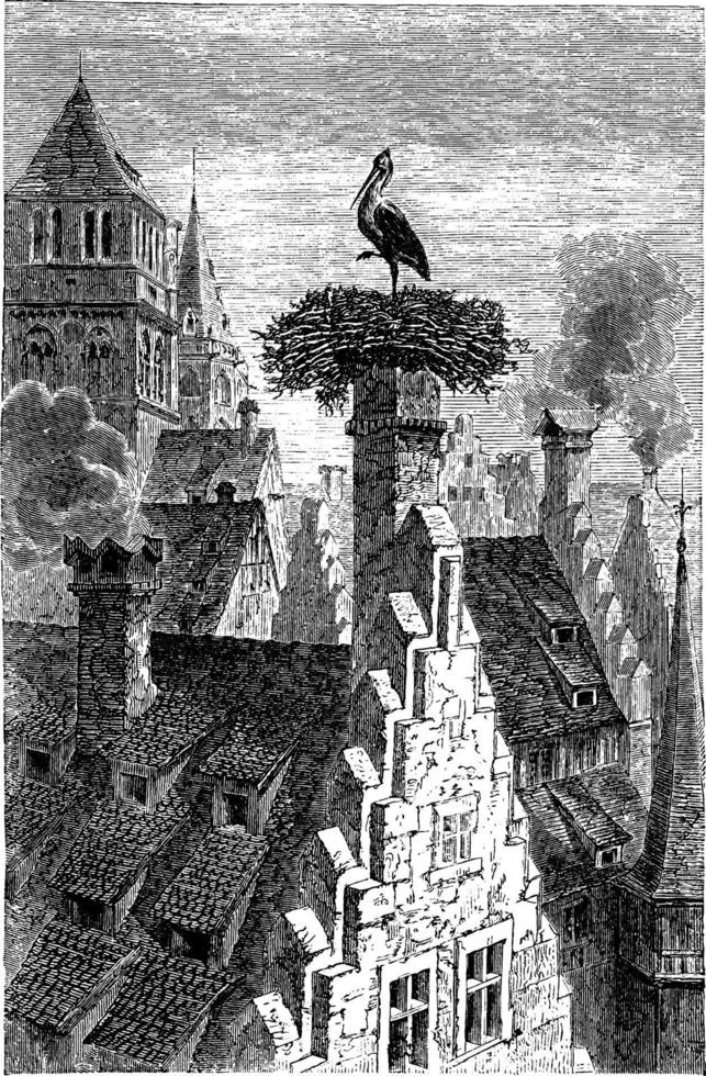 cicogna nido nel Strasburgo, Vintage ▾ illustrazione. vettore