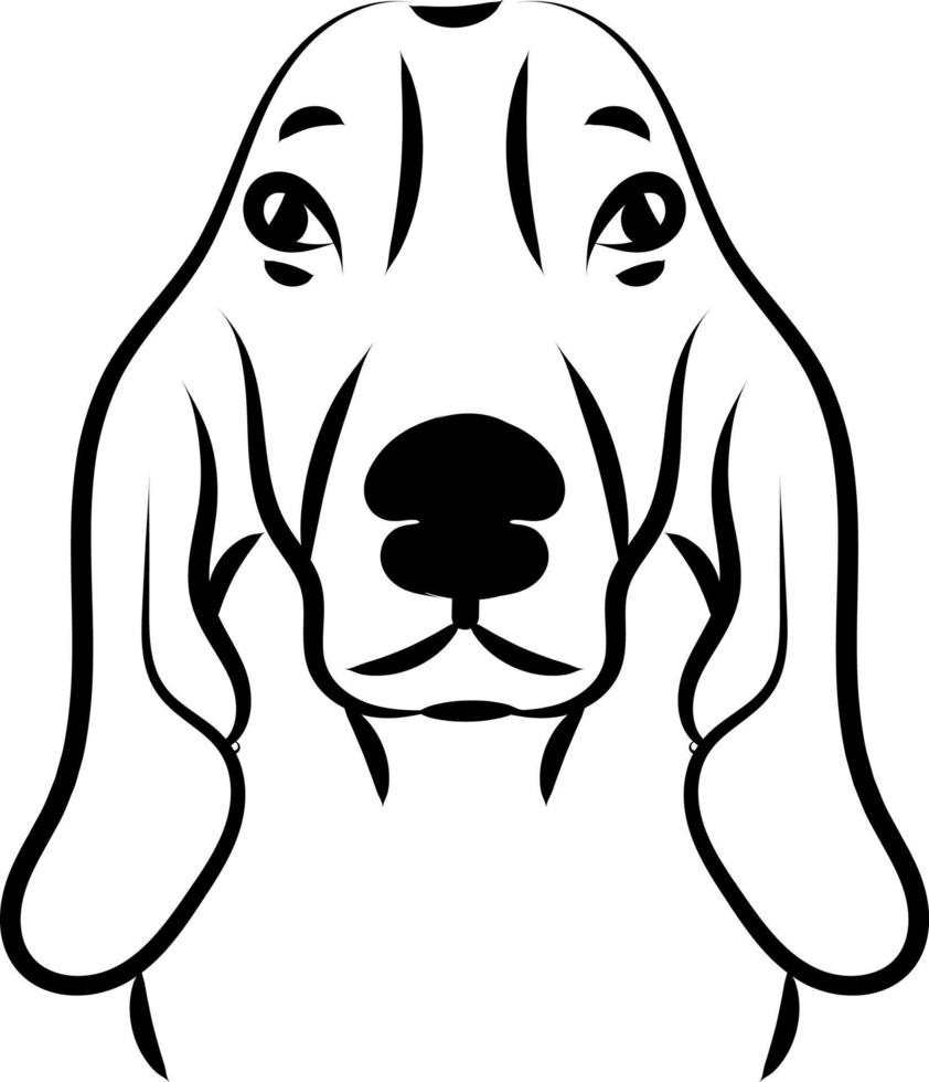 carino bassetto cane da caccia cane, illustrazione, vettore su bianca sfondo.