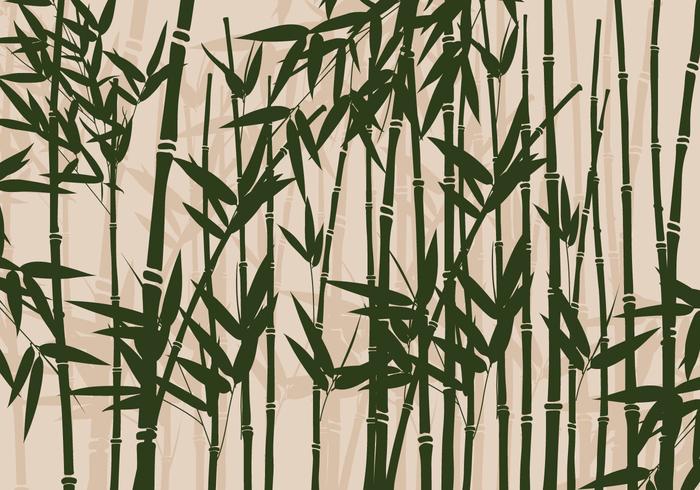 Vettore di bambù
