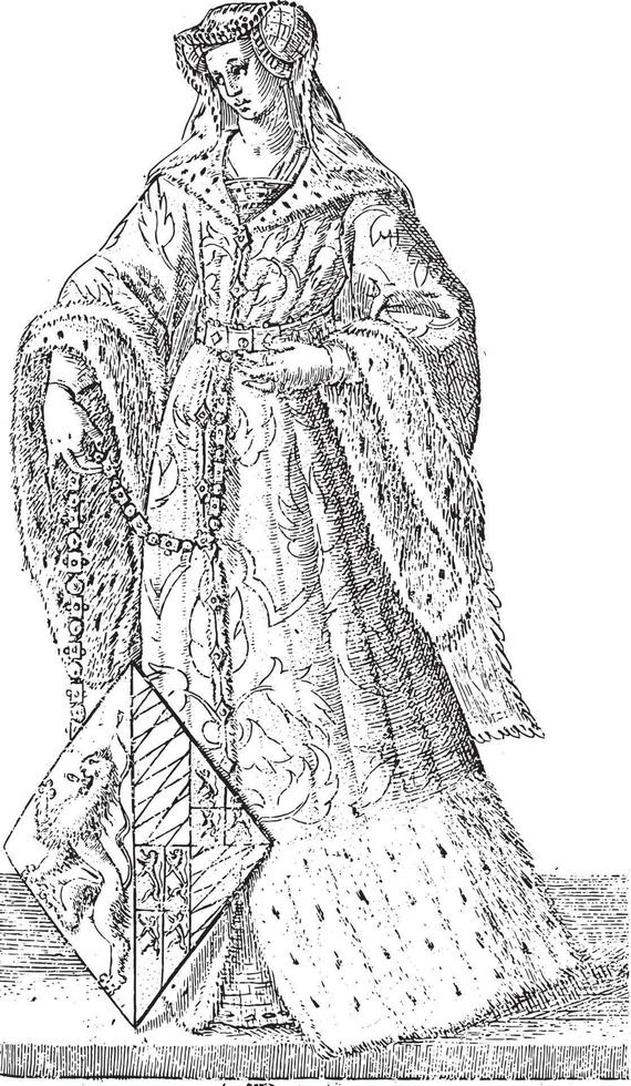 contessa Giacobbe di Baviera, hendrick golzio, dopo Willem Thibaut, Vintage ▾ illustrazione. vettore