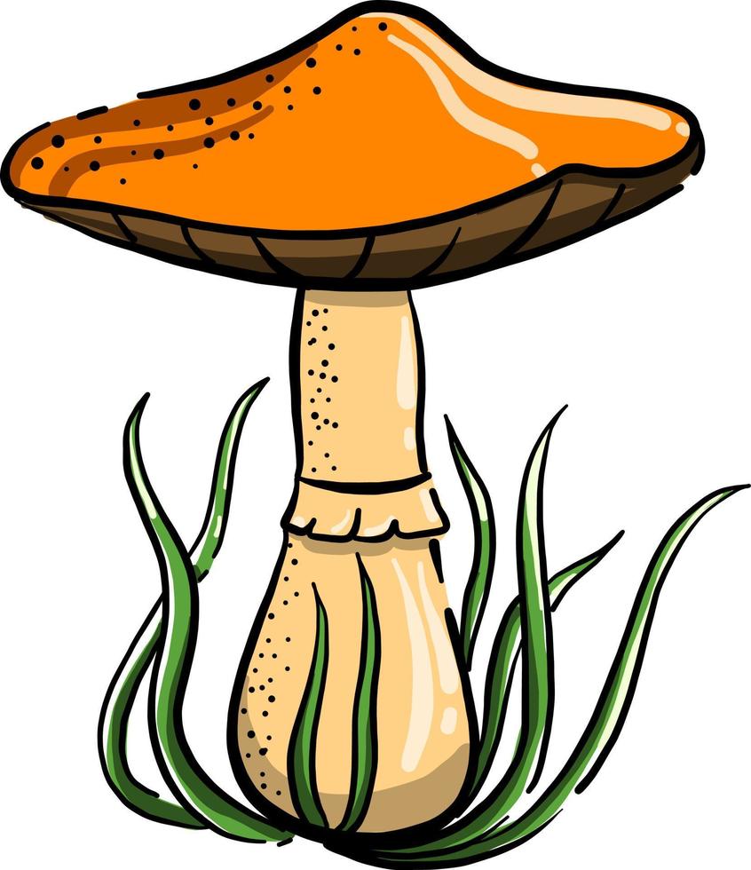 foresta fungo, illustrazione, vettore su bianca sfondo