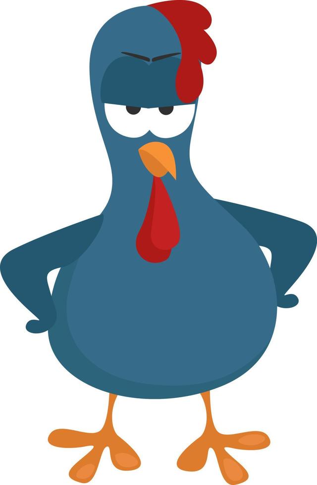 arrabbiato blu pollo, illustrazione, vettore su bianca sfondo