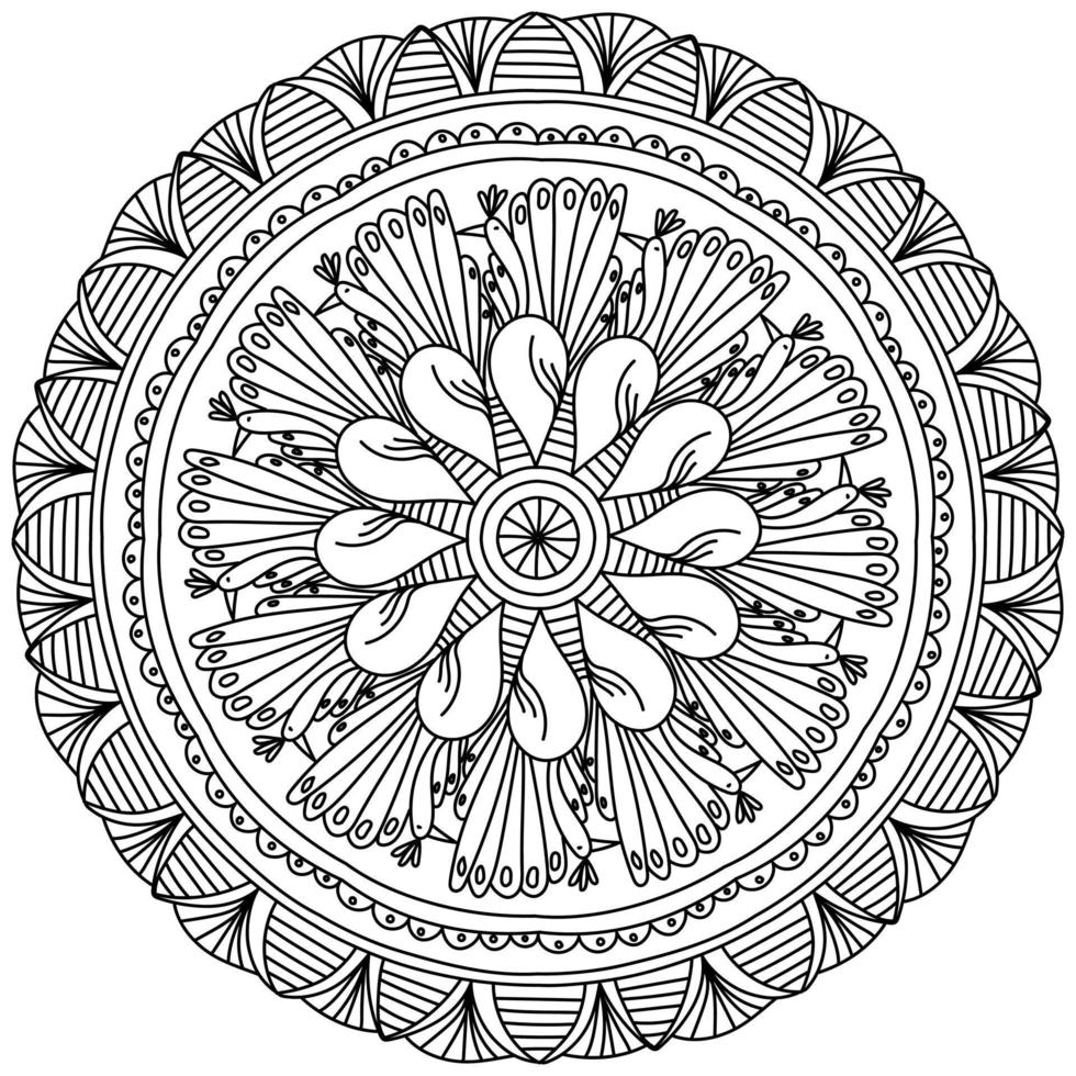 contorno mandala con scarabocchio pavoni e a strisce modelli, zen colorazione pagina con divertente uccelli vettore