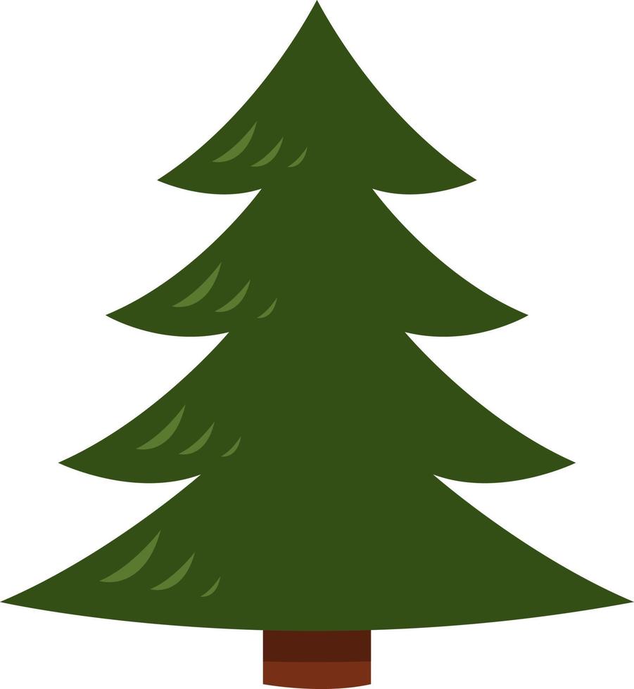 sempreverde albero nel estate, illustrazione, vettore su bianca sfondo.