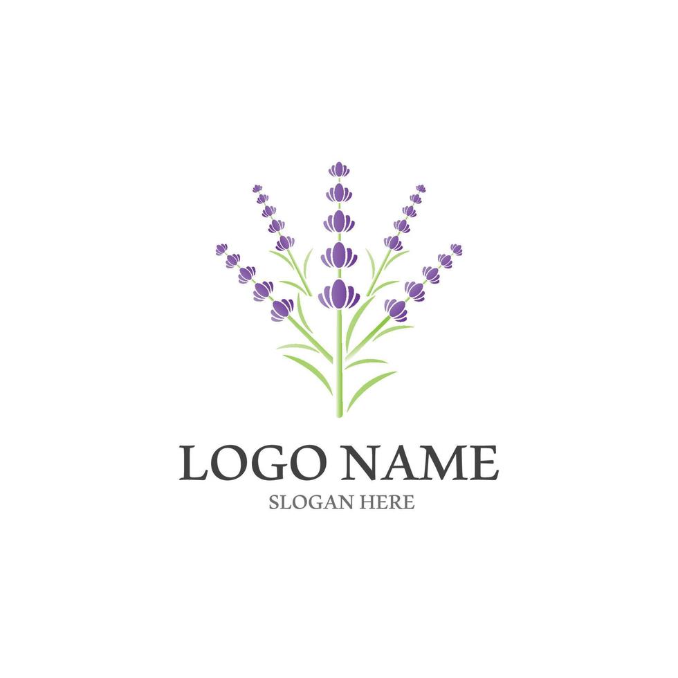 vettore di logo di fiori di lavanda fresca