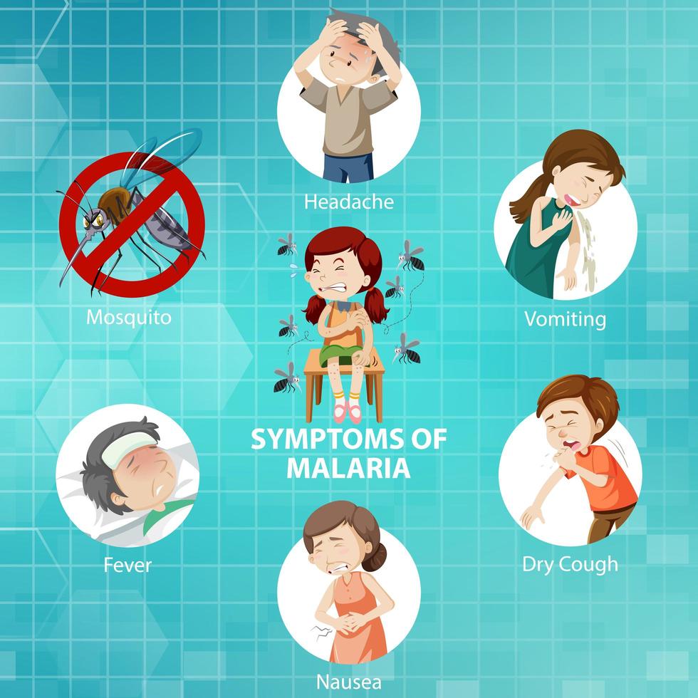 sintomi di malaria stile cartoon infografica vettore