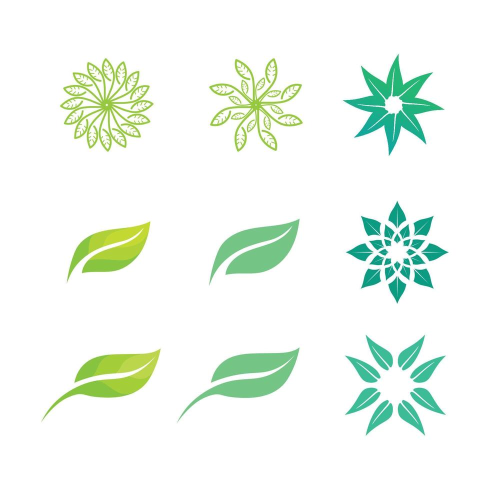 pianta semi logo concetto modello vettore.crescente seme logo.seme crescere vettore logo illustrazione design modello