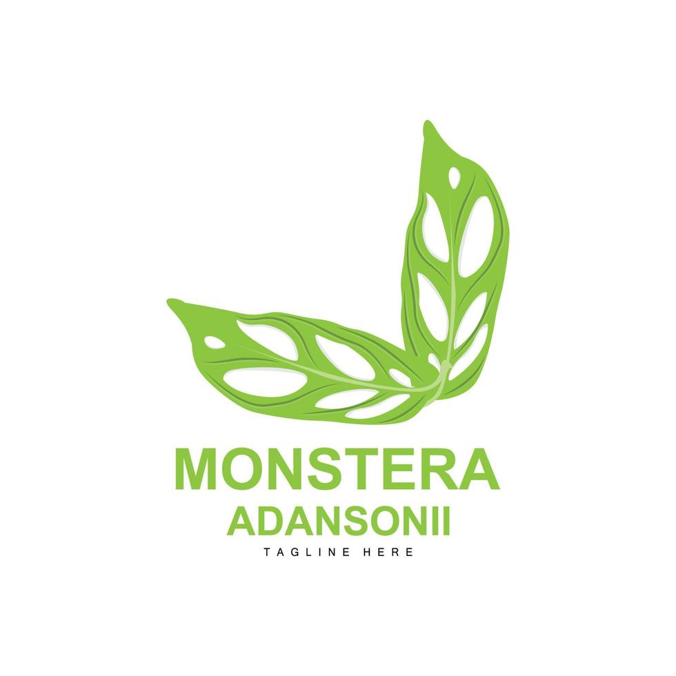 Monstera adansonii foglia logo, verde pianta vettore, albero vettore, raro foglia illustrazione vettore