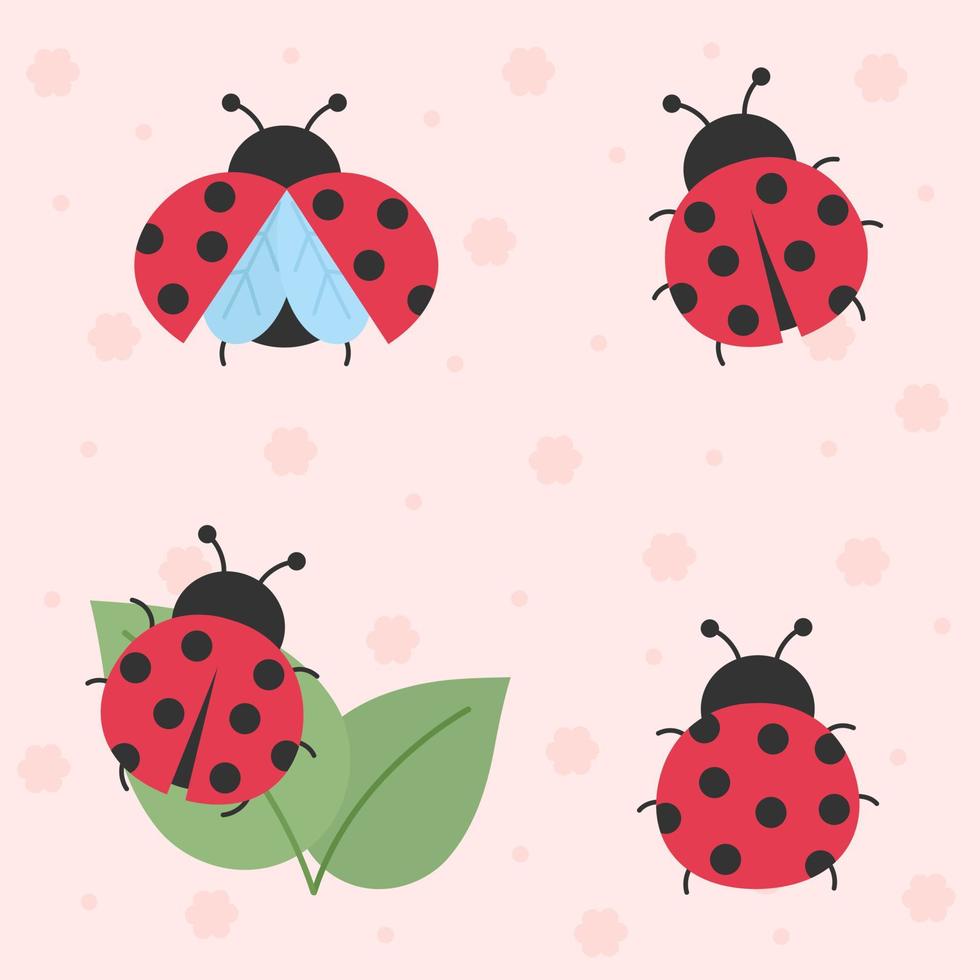 carino cartone animato coccinella impostare. vettore