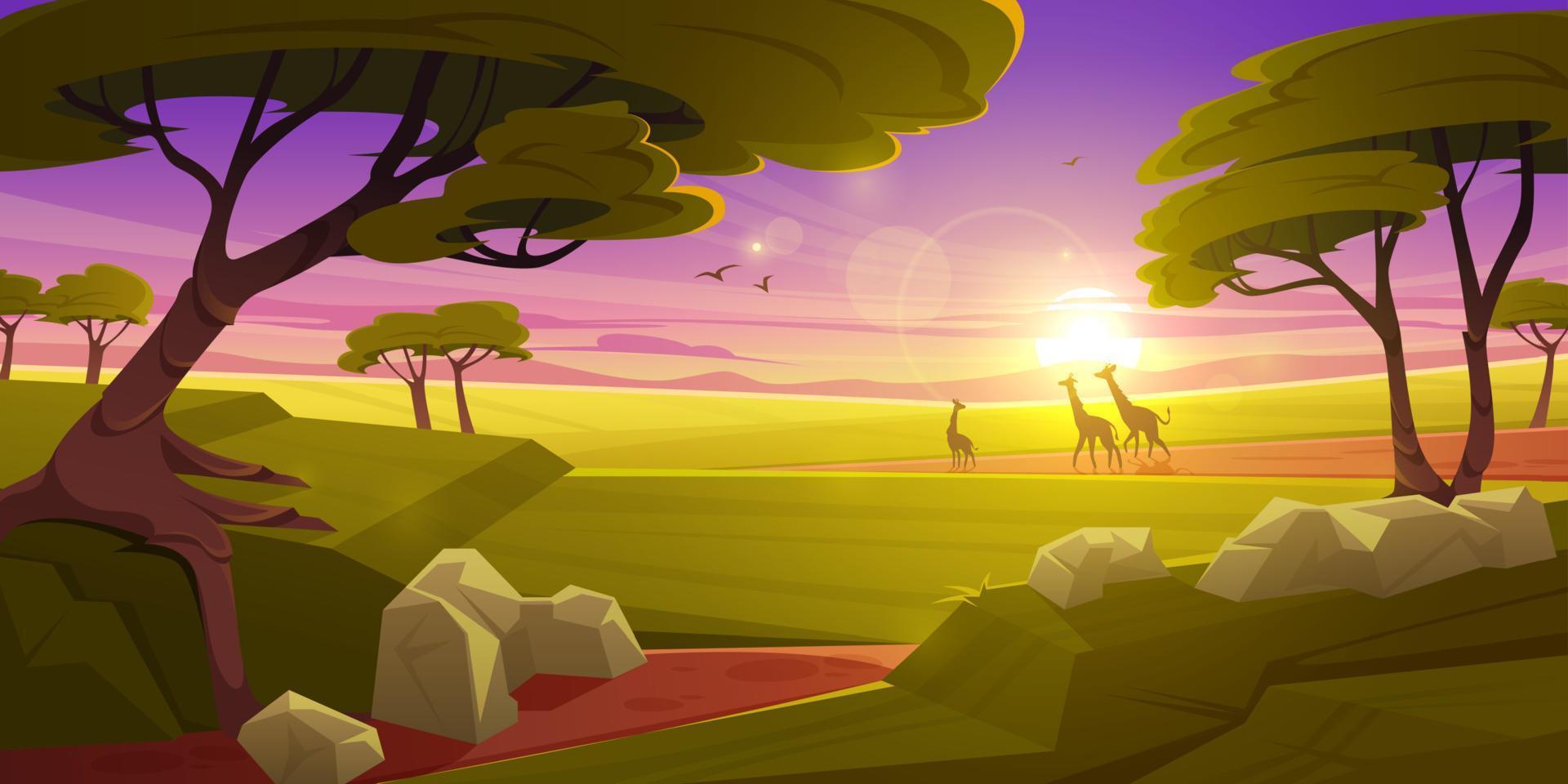 savana con giraffe sagome a tramonto vettore