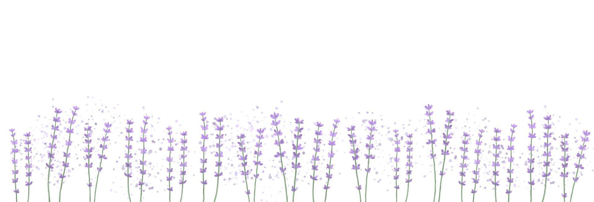 orizzontale floreale sfondo con lavanda fiori. acquerello vettore illustrazione.