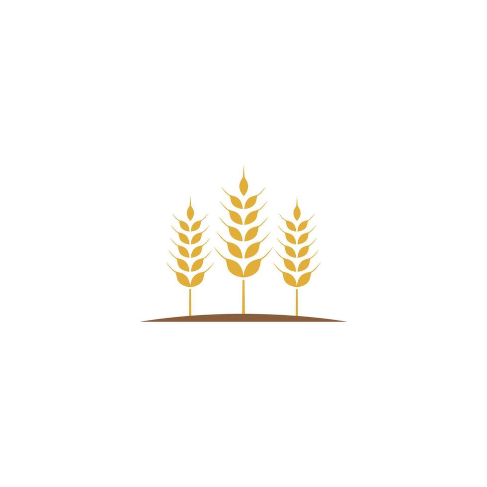 vettore del modello di logo del grano agricolo