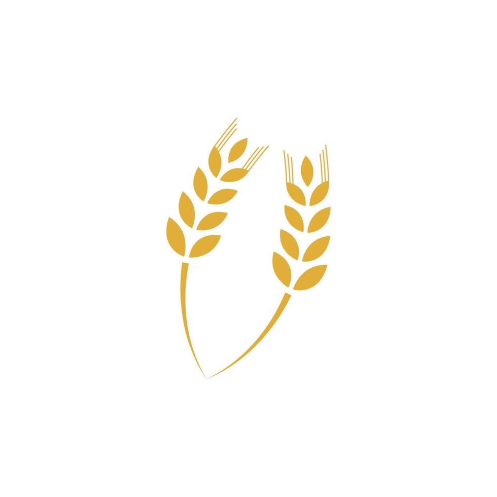 vettore del modello di logo del grano agricolo