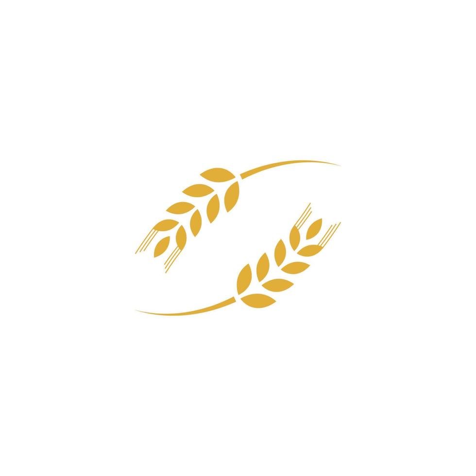 vettore del modello di logo del grano agricolo