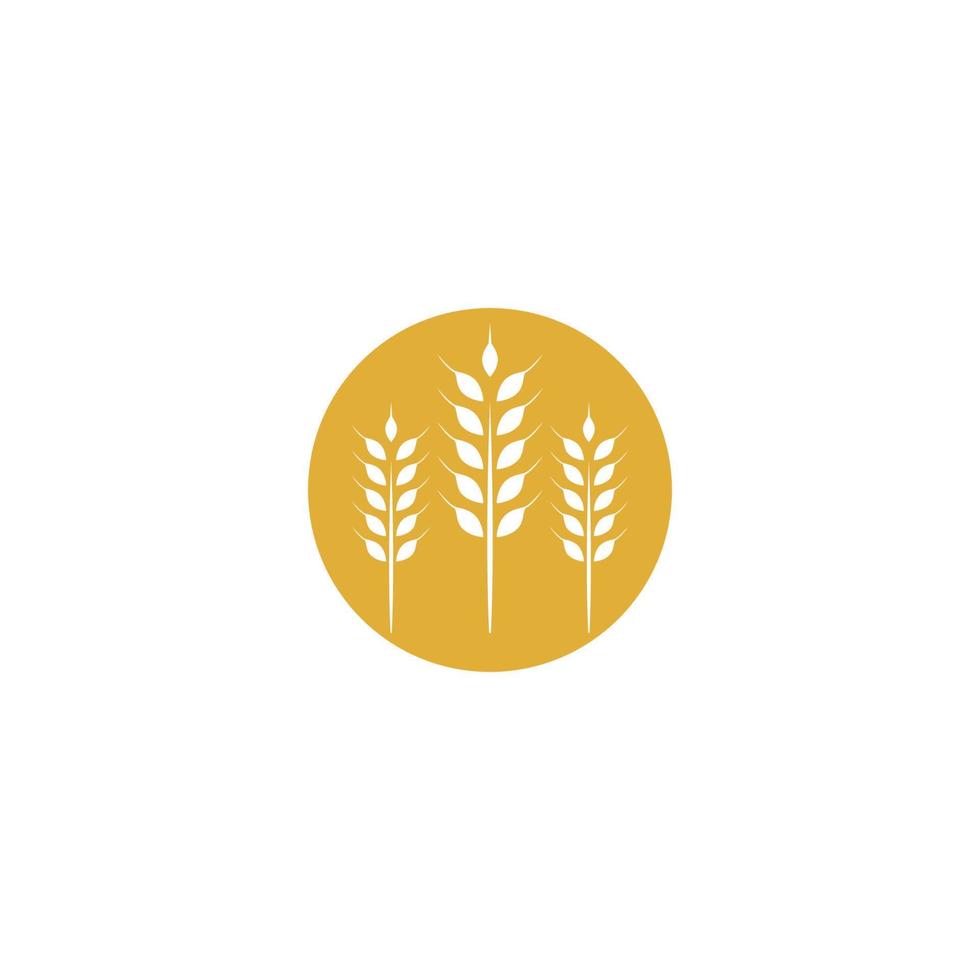 vettore del modello di logo del grano agricolo