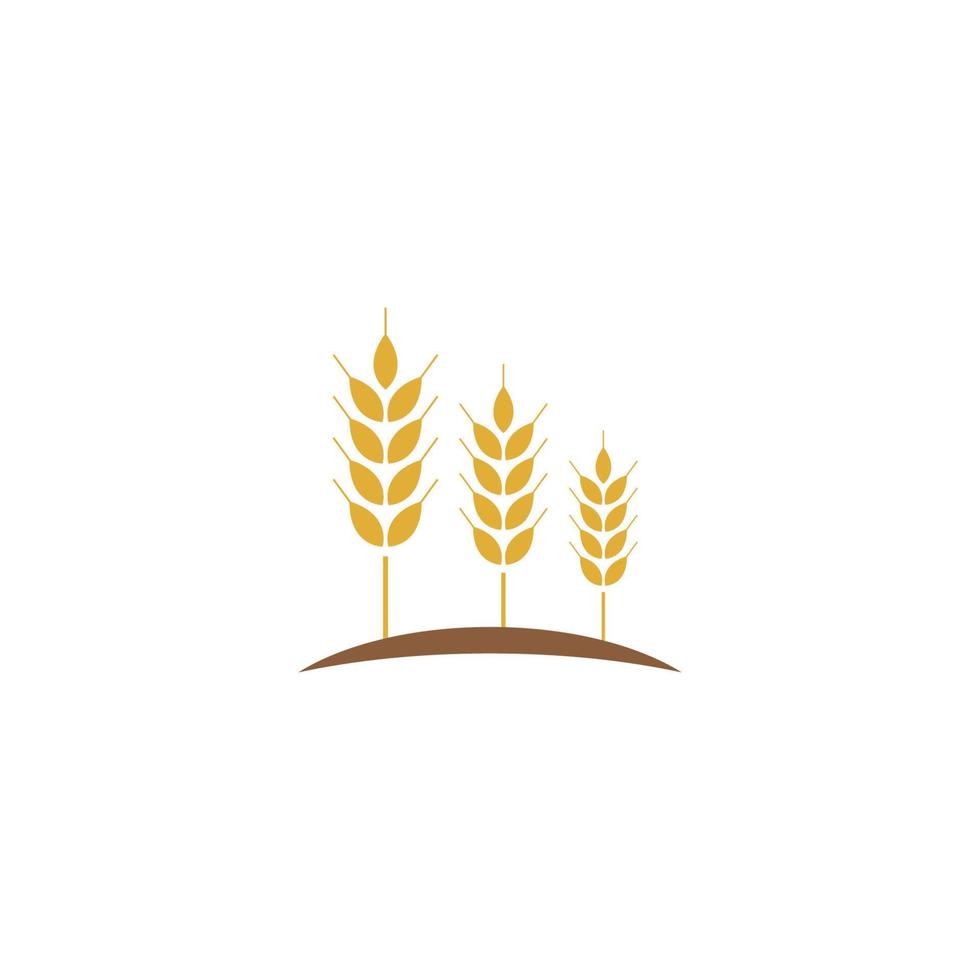 vettore del modello di logo del grano agricolo