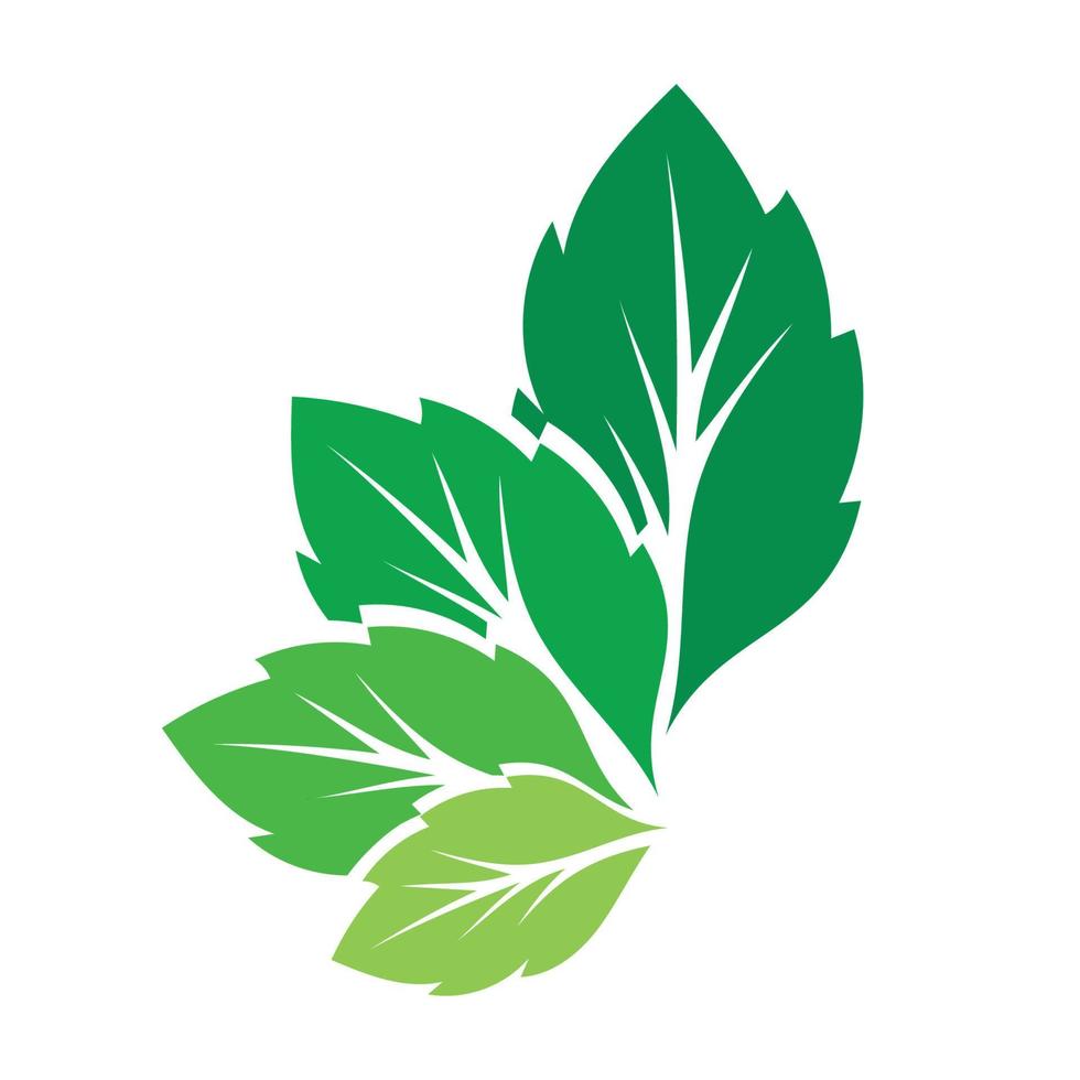 logo verde foglia e vettore di simboli