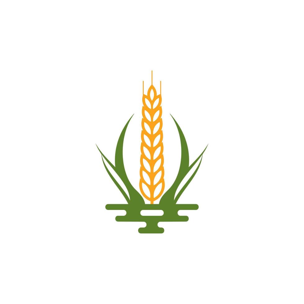 Grano grano agricoltura logo design vettore modello