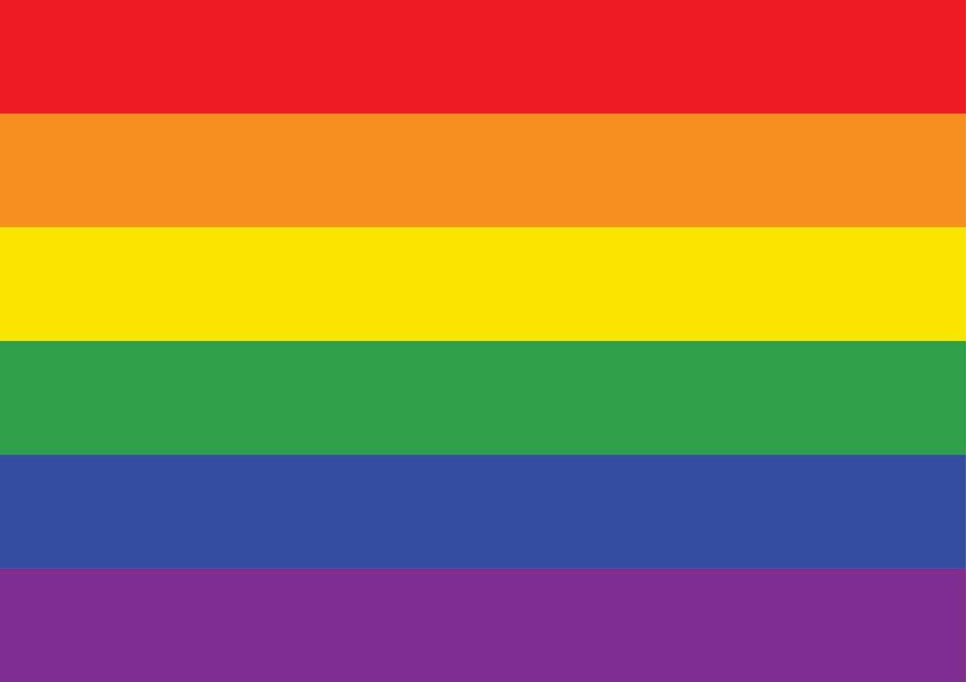 LGBTQ arcobaleno bandiera vettore