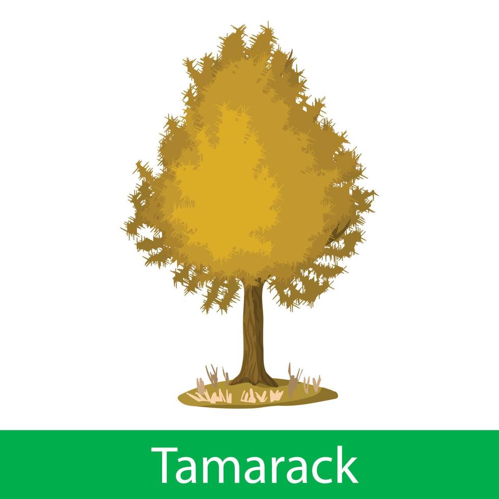 tamarack cartone animato albero vettore