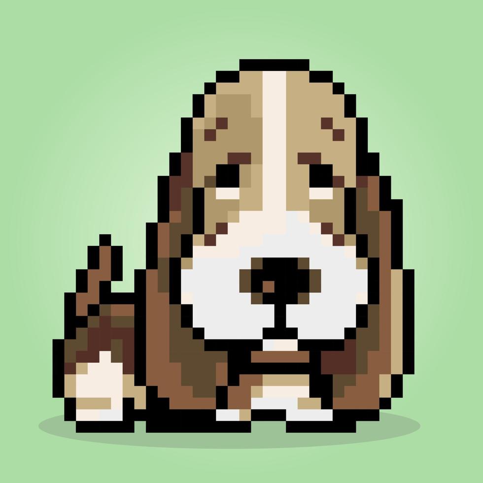 Pixel a 8 bit di cane basset hound. animali per giochi di risorse nelle illustrazioni vettoriali. schema punto croce. vettore