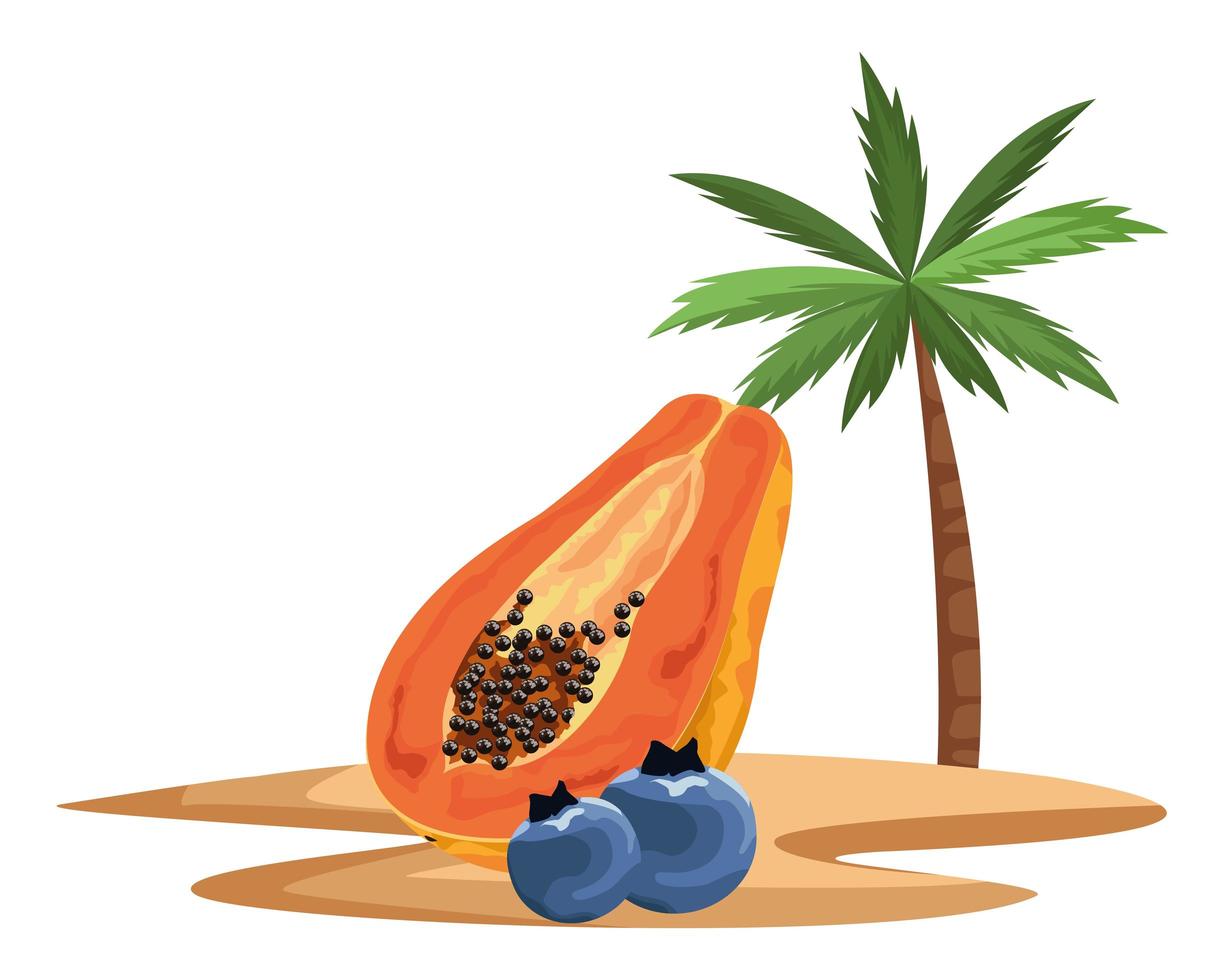 papaia e mirtillo su un'isola tropicale vettore