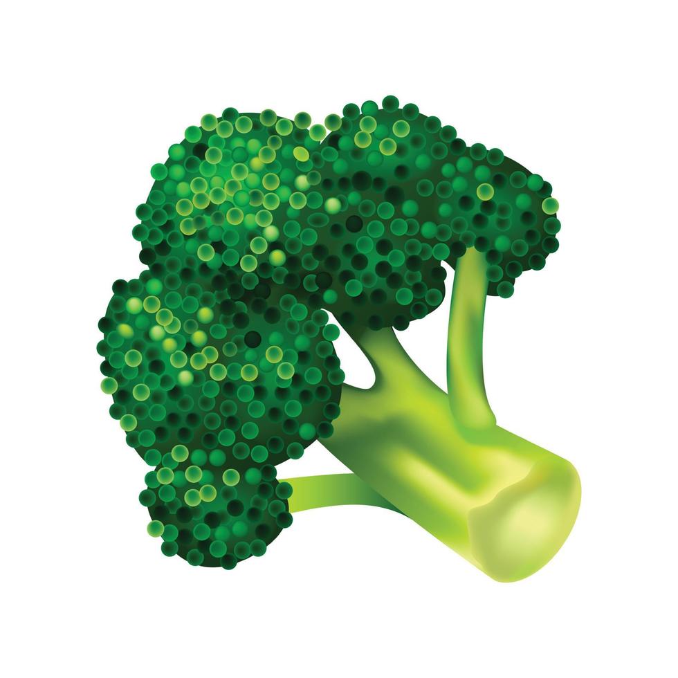 broccoli cavolo icona, isometrico stile vettore