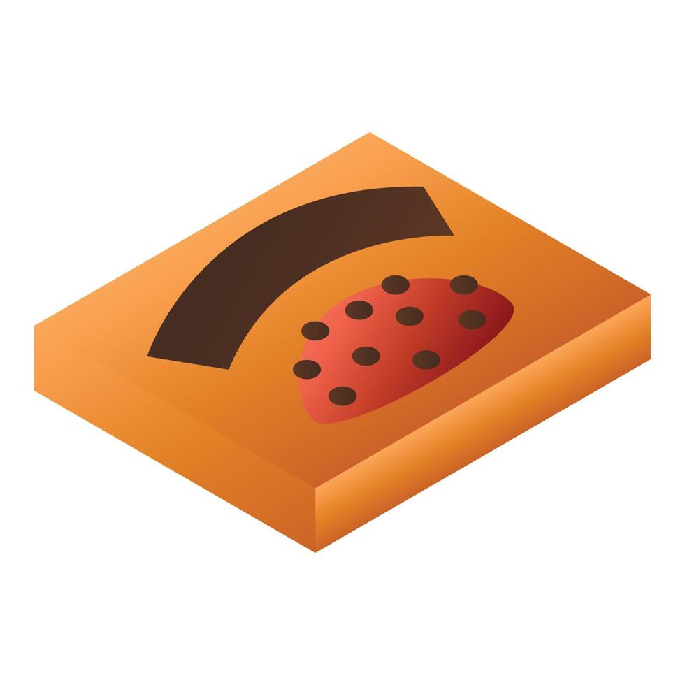 arancia cioccolato scatola icona, isometrico stile vettore