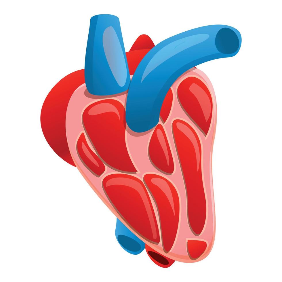 sezione umano cuore icona, cartone animato stile vettore