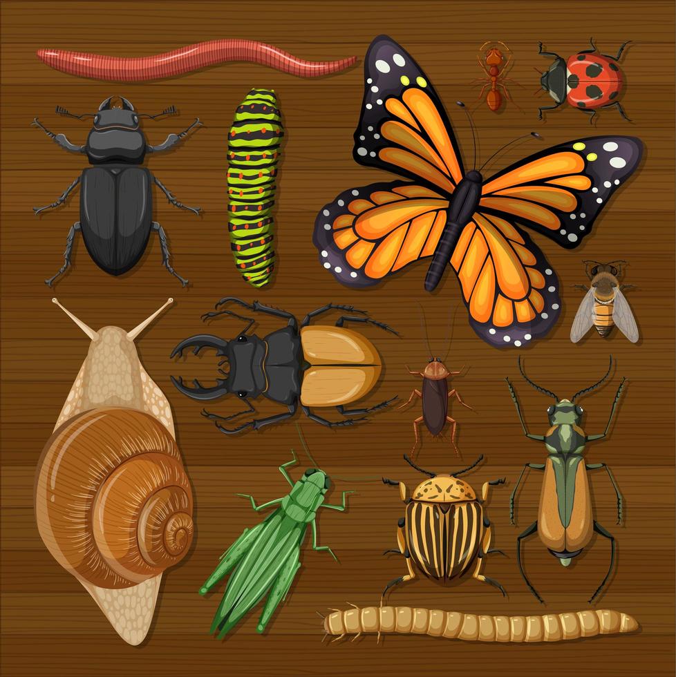 set di diversi insetti su carta da parati in legno vettore