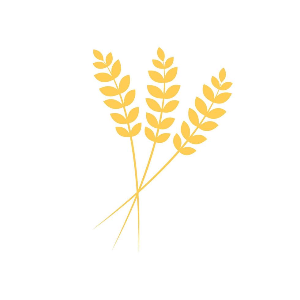 riso simbolo. Grano simbolo vettore. sfondo. logo design. vettore