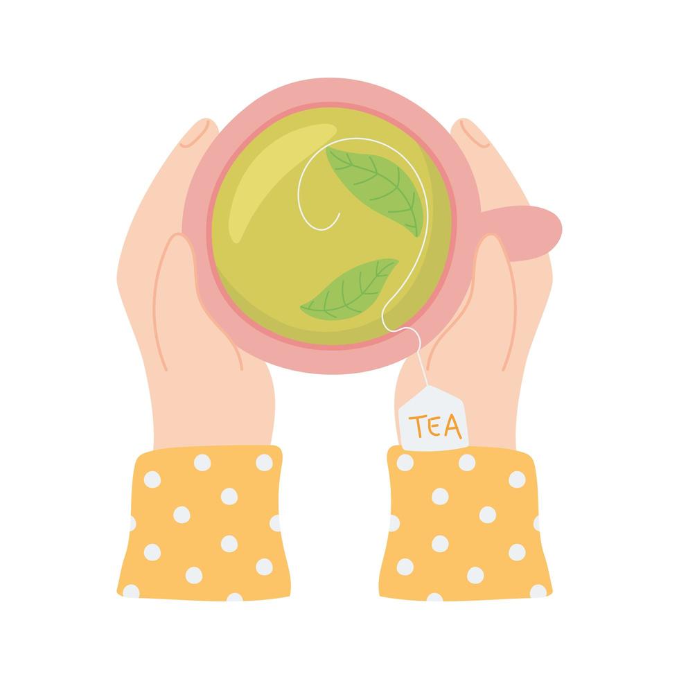 mani vista dall'alto con tazza da tè e bevanda a base di erbe vettore
