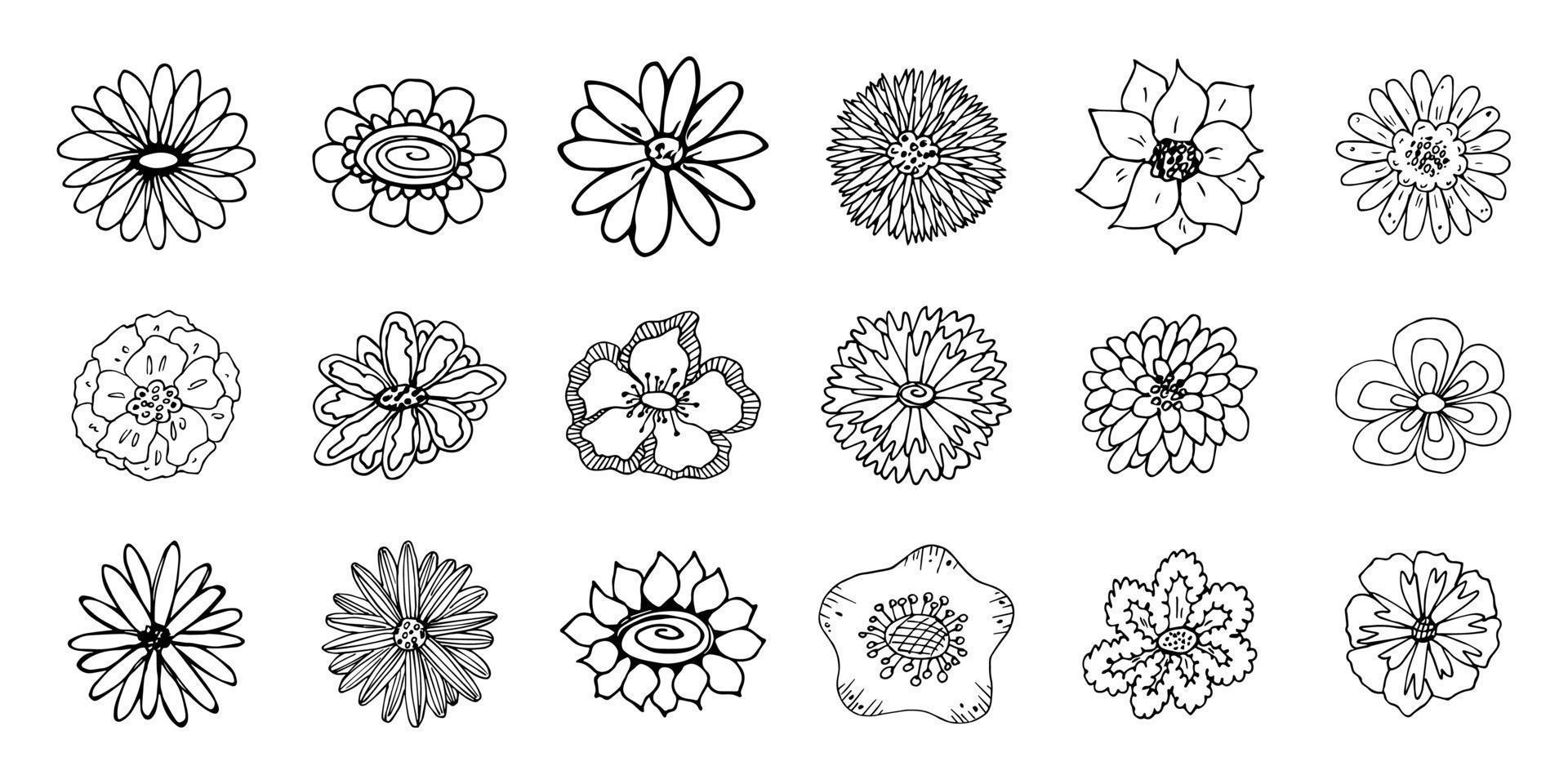 semplice fiore clipart. impostato di mano disegnato floreale scarabocchio. per Stampa, ragnatela, disegno, arredamento, logo vettore