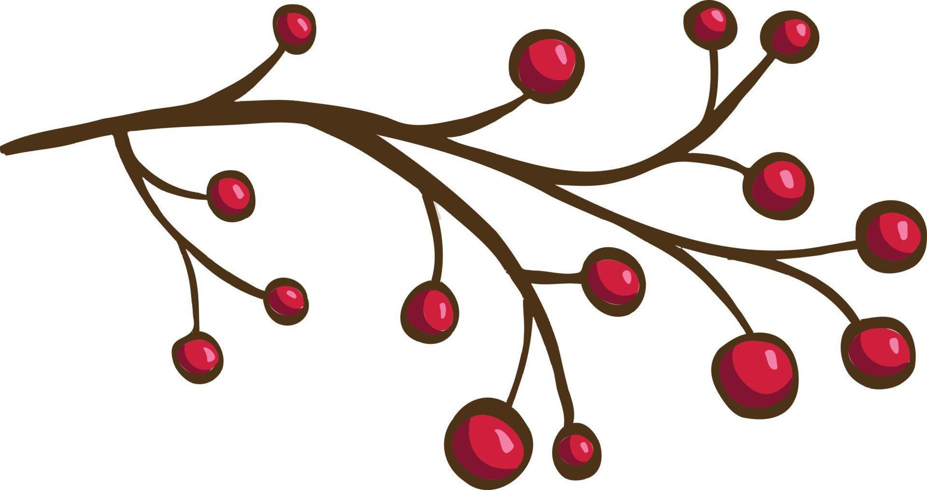 simbolo nuovo anno Natale bacca agrifoglio agrifoglio colore cartone animato vettore