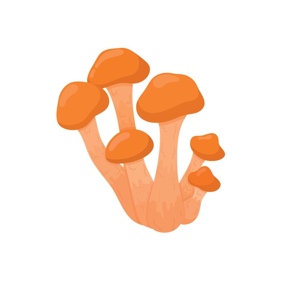 vettore illustrazione di un' gruppo di funghi ancora nel il stile di mano disegno. biologico cibo nel il foresta. ecologicamente pulito cibo