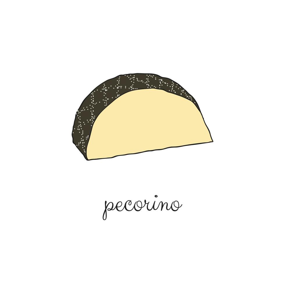 mano disegnato colorato pecorino formaggio. vettore