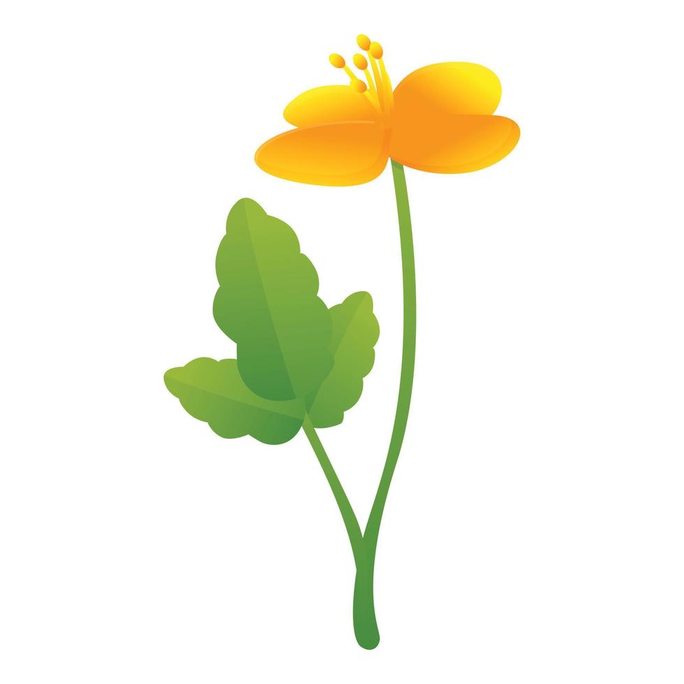 celandine medicina fiore icona, cartone animato stile vettore