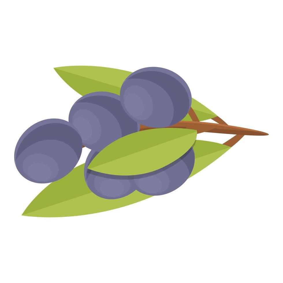 nero olive ramo icona cartone animato vettore. cibo oliva vettore