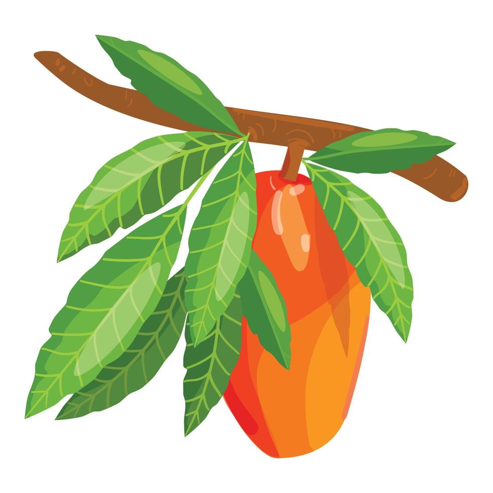 Mango ramo icona cartone animato vettore. tropicale foglia vettore
