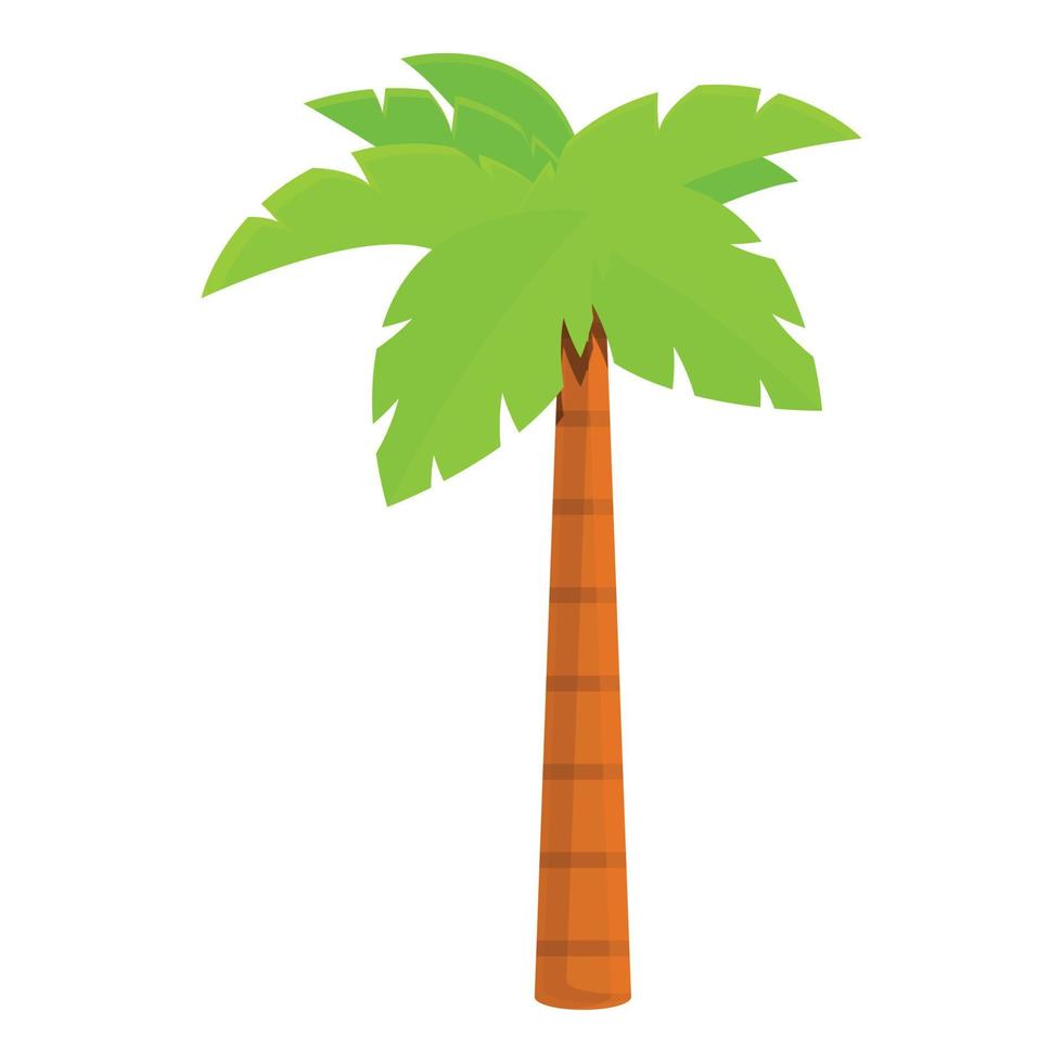 islanese palma icona, cartone animato stile vettore