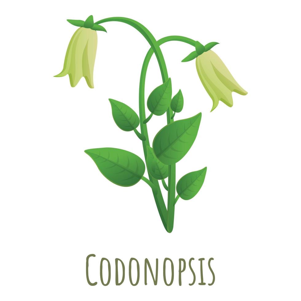 codonopsis icona, cartone animato stile vettore